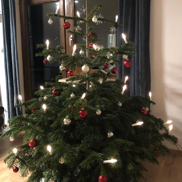 Nagelfluh Hüs - Apartment mit 1 Schlafzimmer - 25