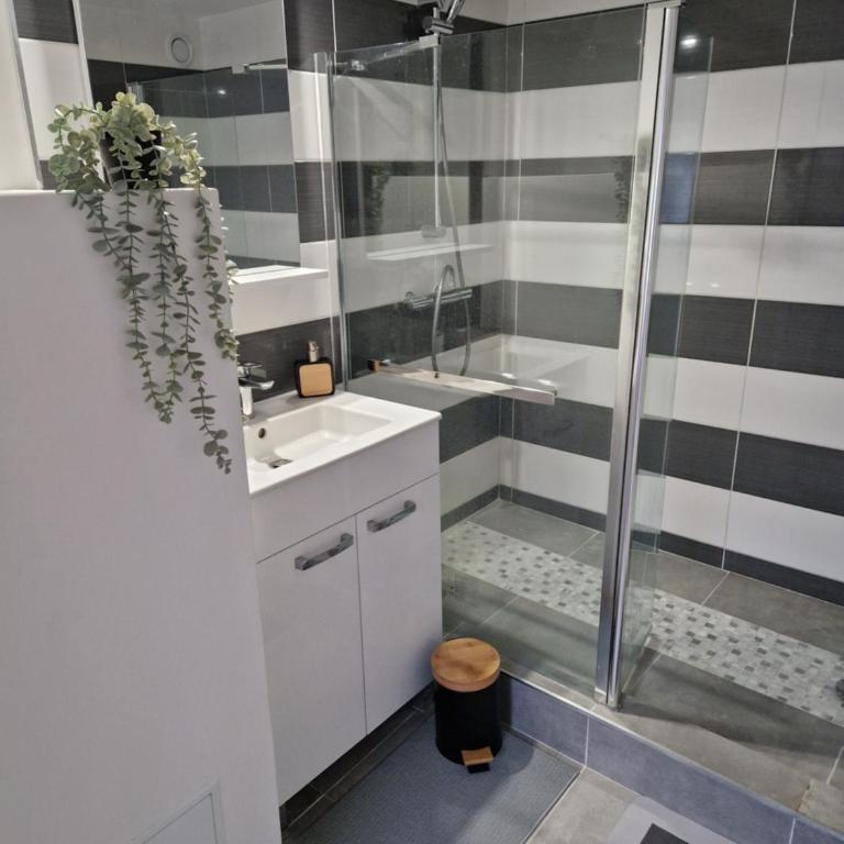 BNB L'Orleanais Hyper Centre d'Orléans proche Gare - PARKING - Apartamento de 1 dormitorio - 13