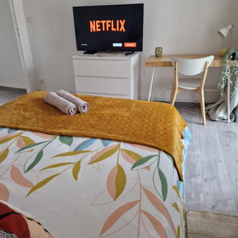 BNB L'Orleanais Hyper Centre d'Orléans proche Gare - PARKING - Apartamento de 1 dormitorio - 5