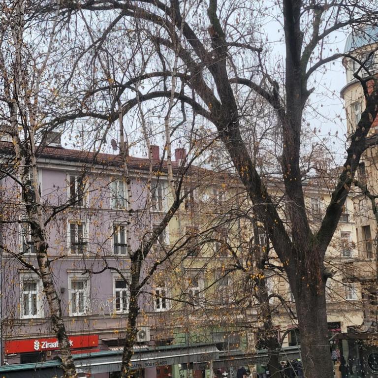 REMSA - Apartman - 2