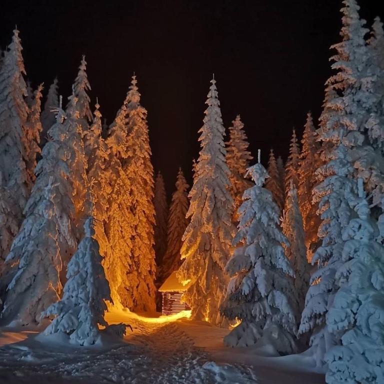 Milmari S70 Kopaonik - One-Bedroom Apartment - 2