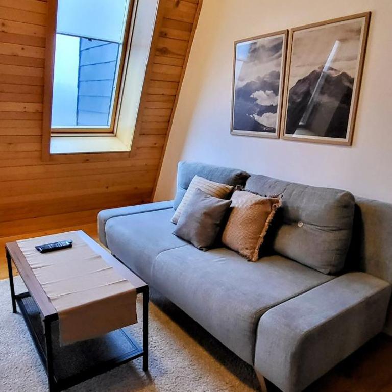 Apartment 533 in Aparthotel Vucko Jahorina - Private host - Apartment - 21