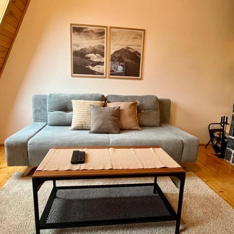 Apartment 533 in Aparthotel Vucko Jahorina - Private host - Apartment - 14