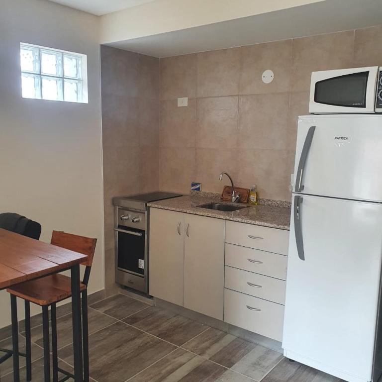 Mono Villegas 1 - One-Bedroom Apartment - 6