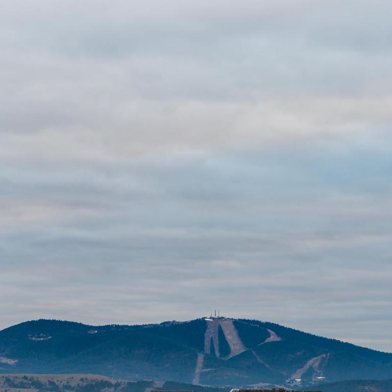 Apartman Zlatibor's Frost (Zlatiborski Mraz) - One-Bedroom Apartment - 46