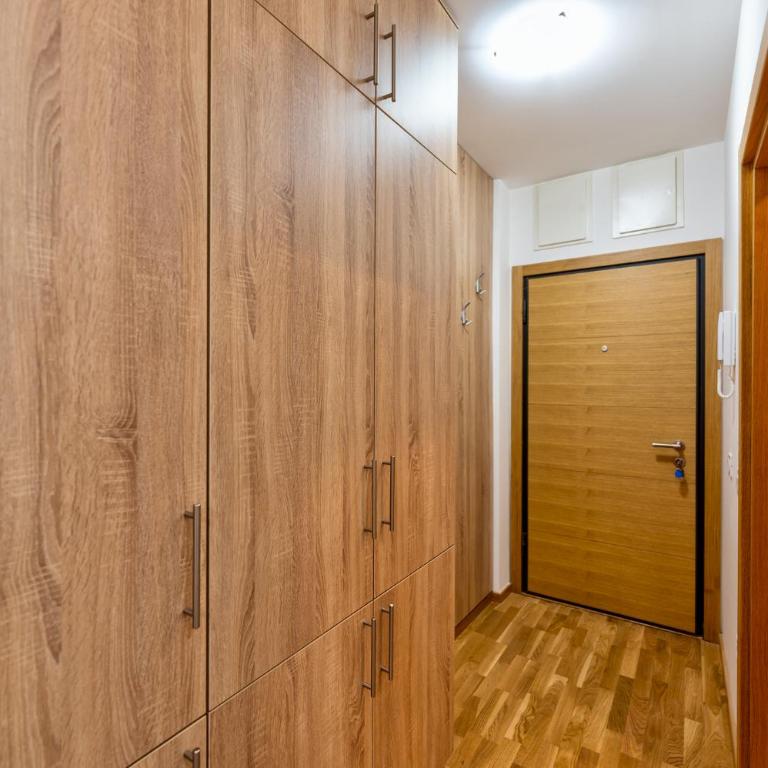 Apartman Zlatibor's Frost (Zlatiborski Mraz) - Apartman sa 1 Spavaćom Sobom - 27