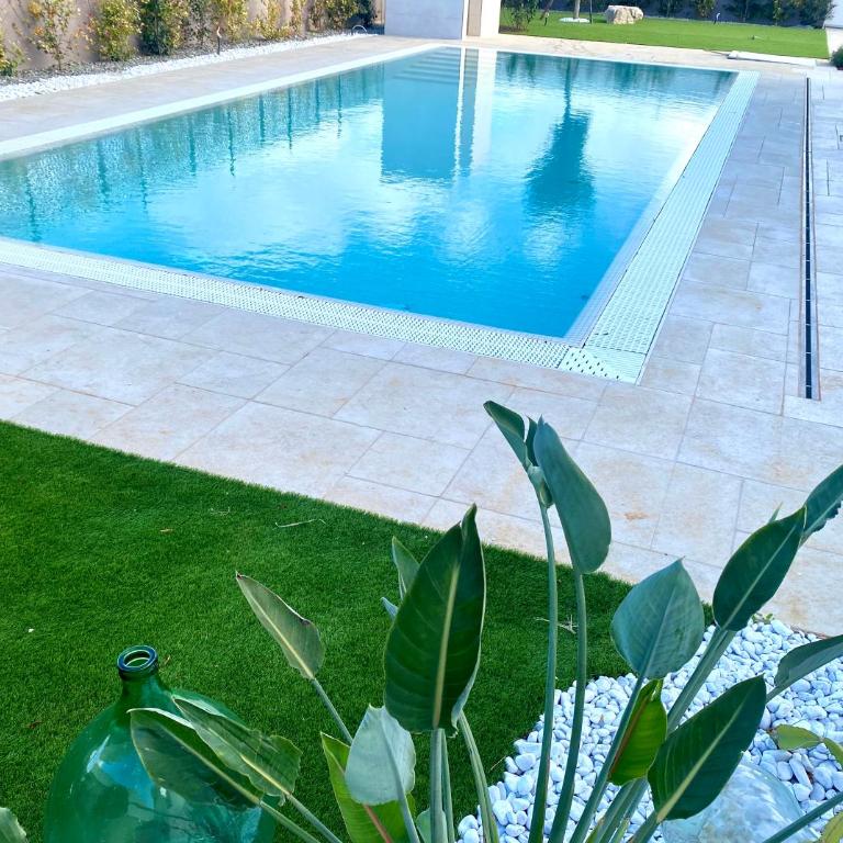 Allegria Pool House - Puglia Mia Apartments - Appartamento con 1 Camera da Letto - 19