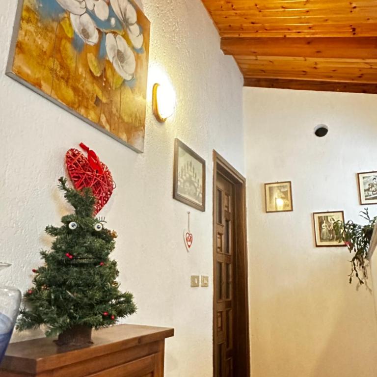 Casa Netto - Appartamento - 10