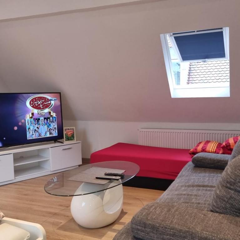 Wohnung mit Festung Blick in Würzburg - Apartment mit 1 Schlafzimmer - 10