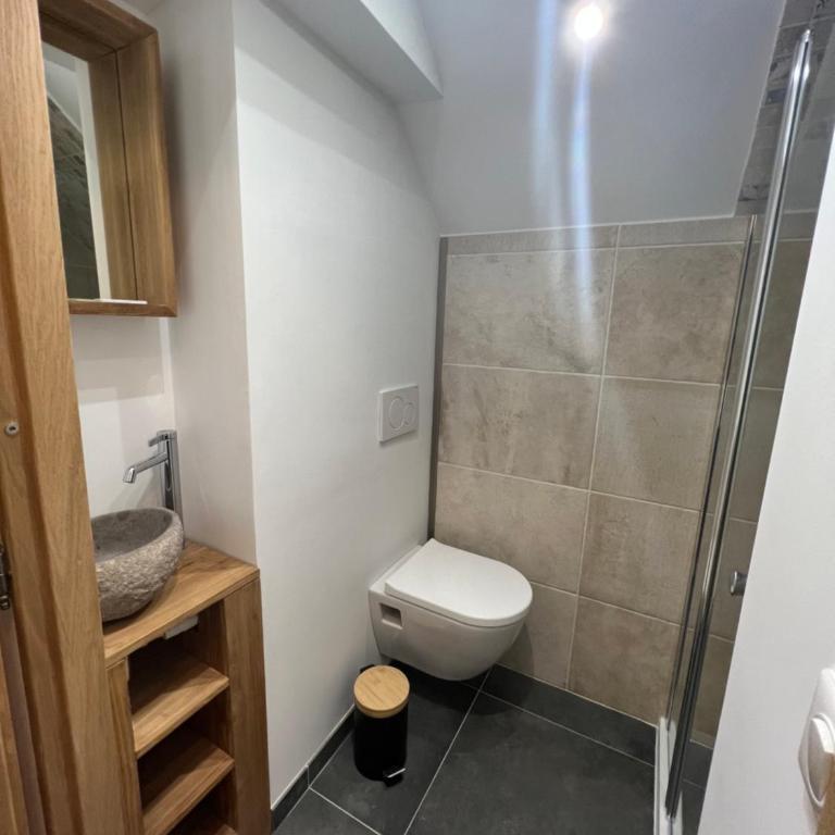 Duplex 12p St Sorlin D'arves résidence Odalys - Appartement - 18