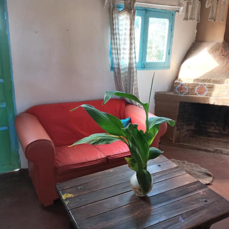 Casa rural cerca del Cabo - One-Bedroom House - 3