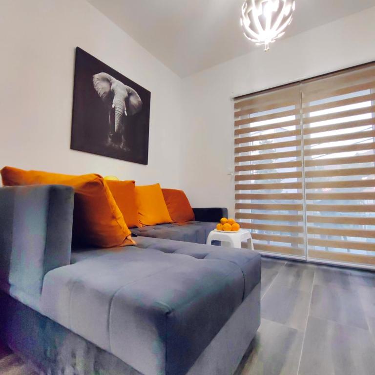 Mialex apartments - One-Bedroom Apartment - 12