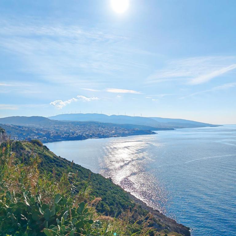 Mialex apartments - One-Bedroom Apartment - 22