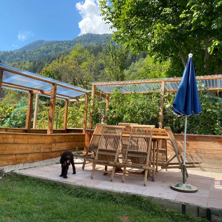 Landhaus Marmorata - Familienstudio - 6