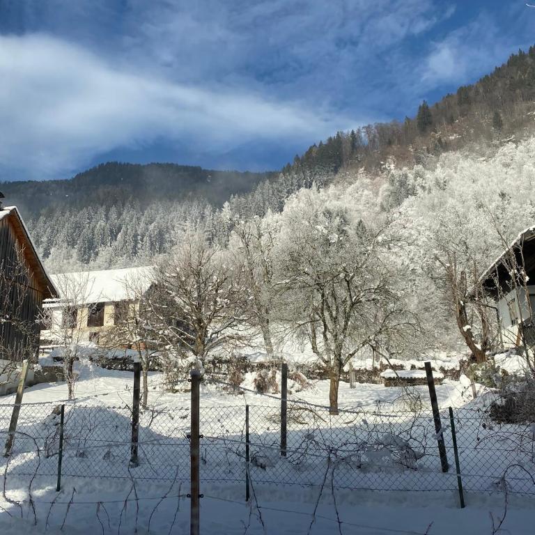 Landhaus Marmorata - Familienstudio - 5