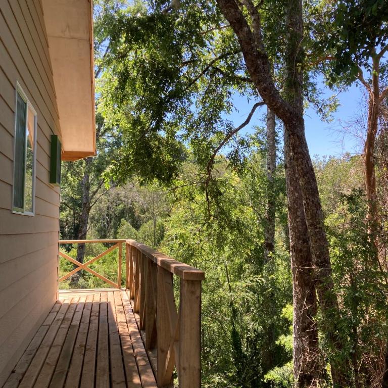 Los Canelos de Cayumapu - One-Bedroom House - 1