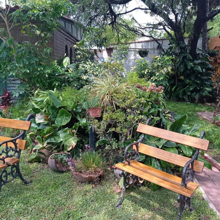 Hermosa casa con parque - Casa de 2 dormitorios - 1