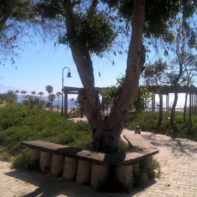 COZY APARTMENT BETWEEN THE PORT AND THE BEACH LA RADA - Apartamento de 2 dormitorios - 34