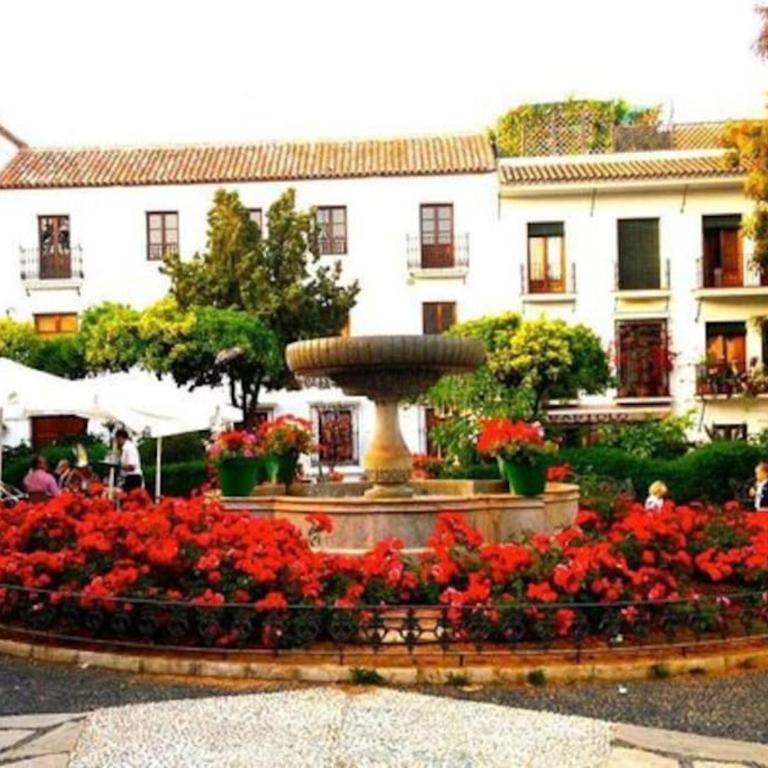 COZY APARTMENT BETWEEN THE PORT AND THE BEACH LA RADA - Apartamento de 2 dormitorios - 38
