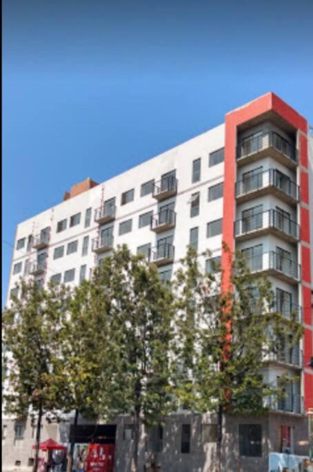 Se renta por día departamento en el Centro - Two-Bedroom Apartment - 5