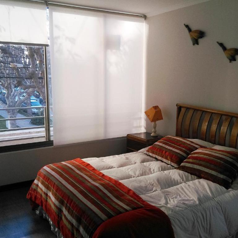 2 Poniente con 3 Norte HERMOSOS Departamentos - Two-Bedroom Apartment - 6