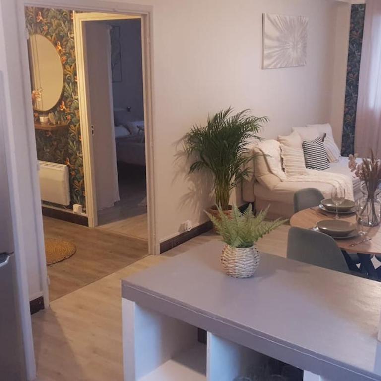 *Cosy* spacieux * entrée autonome* centrale* - Apartamento de 1 dormitorio - 38