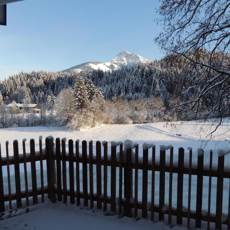 Haus Hüttenberger - Apartamento de 2 dormitorios con ducha - 7