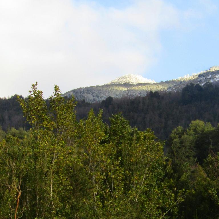 Casa Loft Küme Felen - Casa de 2 dormitorios - 31