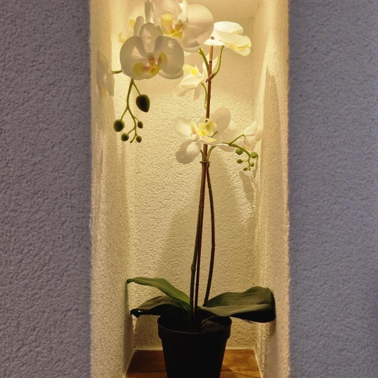 FeWo's und Apartment's Schöneck - Apartment mit 2 Schlafzimmern - 3