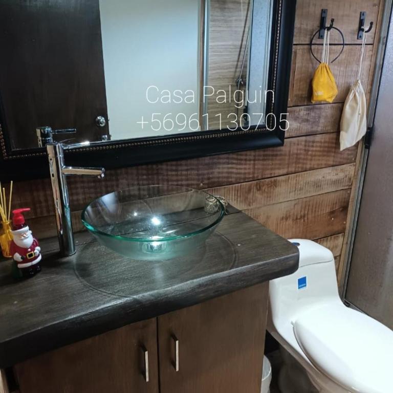 Casa Pucon Palguin - Two-Bedroom House - 18