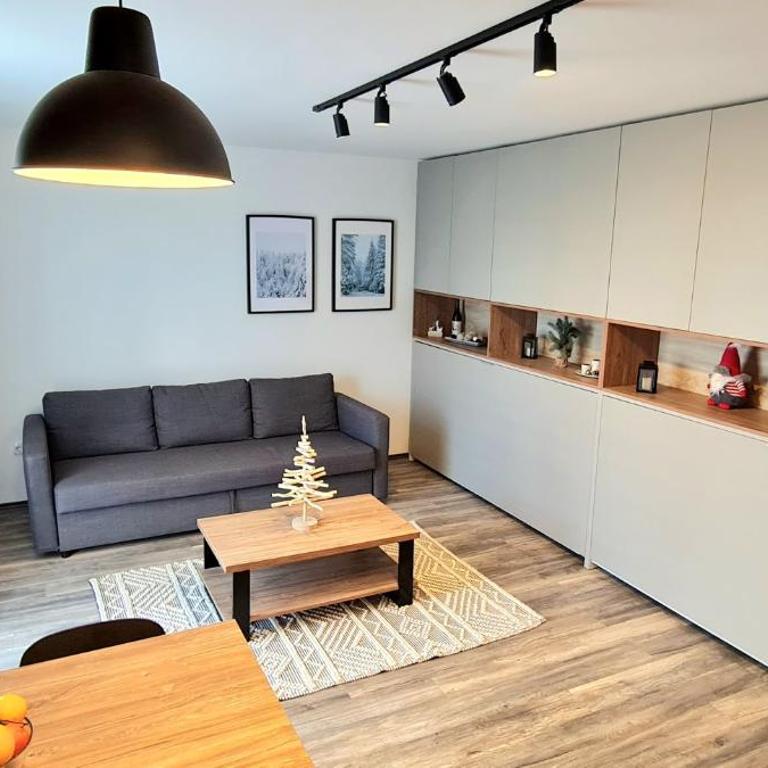 Popović apartmani, Sunčani breg - One-Bedroom Apartment - 4