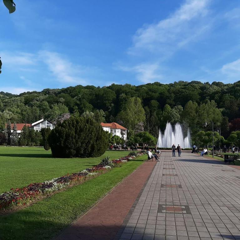 Apartmani Nikolaj - Apartman sa 1 Spavaćom Sobom - 25