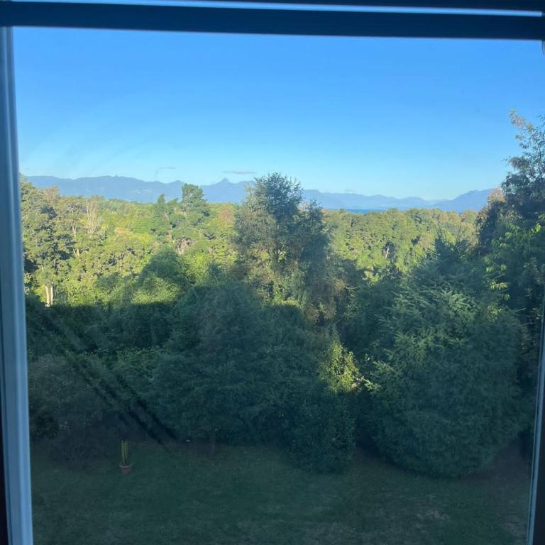 Departamento Rukalma Tolten - Apartamento de 3 dormitorios - 6