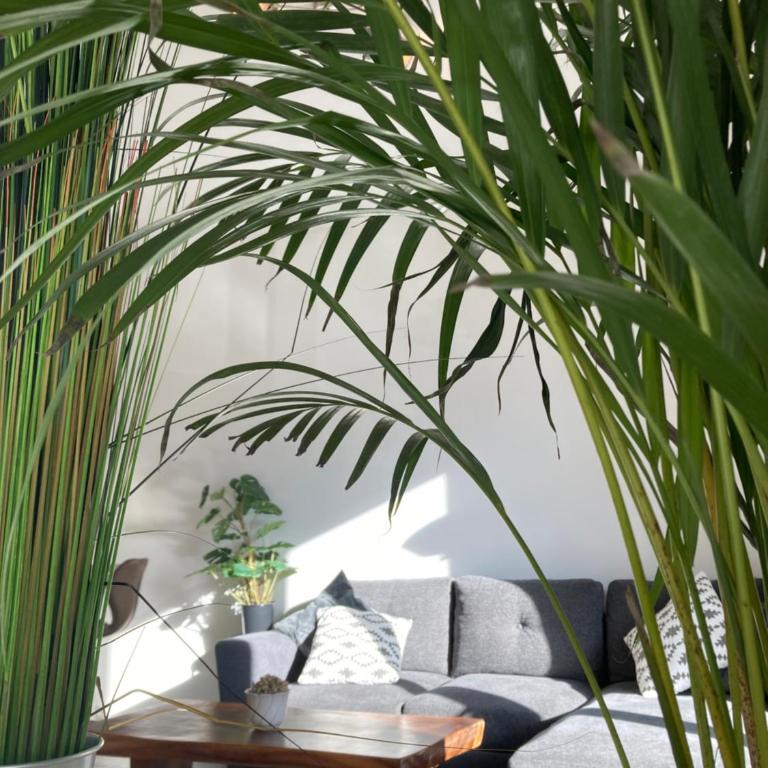 SeeBrauer - Apartment mit Balkon - 30