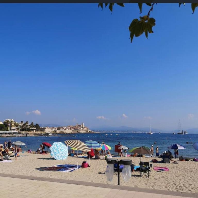 Superbe studio avec terrasse au cap d’antibes - Apartment mit 1 Schlafzimmer - 14