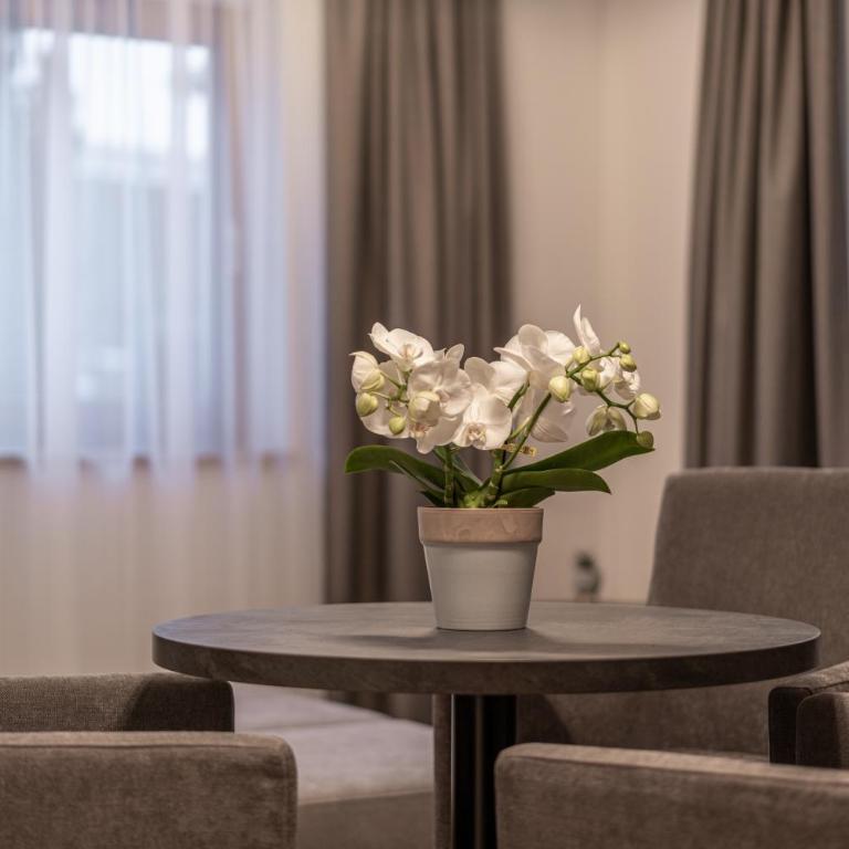 Miramonte - Doppelzimmer mit Zustellbett - 8