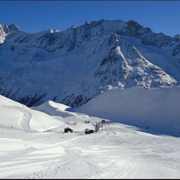 Le Panorama - Appartement 54 à Arolla face aux montagnes à 150m des pistes - Apartment mit 2 Schlafzimmern - 40