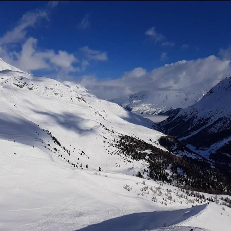 Le Panorama - Appartement 54 à Arolla face aux montagnes à 150m des pistes - Apartment mit 2 Schlafzimmern - 37