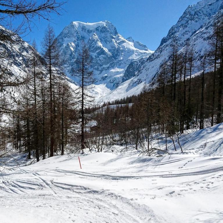 Le Panorama - Appartement 54 à Arolla face aux montagnes à 150m des pistes - Apartment mit 2 Schlafzimmern - 35