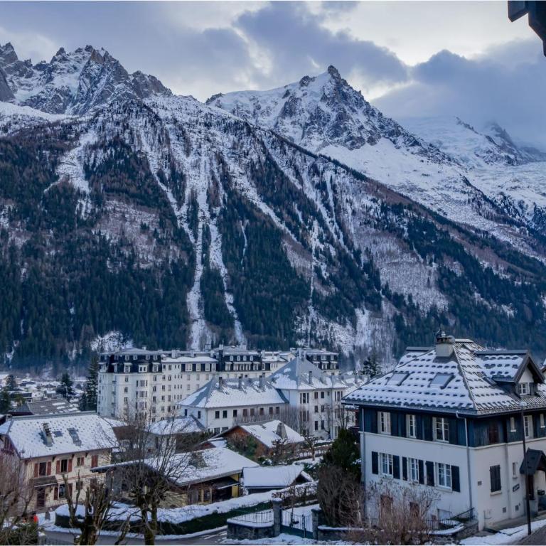 Portes du Brevent -1 bedroom apartment with magnificient Mont Blanc views - Apartment mit 1 Schlafzimmer - 14