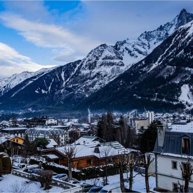 Portes du Brevent -1 bedroom apartment with magnificient Mont Blanc views - Apartment mit 1 Schlafzimmer - 11