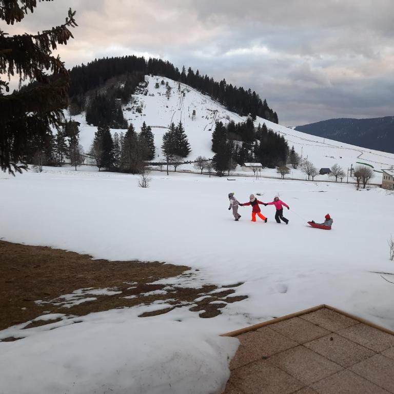 le face au tremplin Appartement 5 pers entièrement rénové dec 2022 classé meublé de tourisme 3 étoiles emplacement unique a Autrans proche du village prestations de qualité - Appartement 2 Chambres - 21