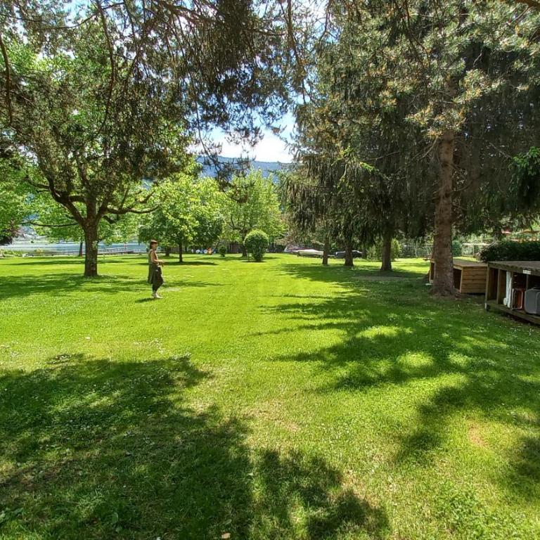 WEG Haus KMB Seeappartement am Ossiacher See, Hallenbad, Skiarena Gerlitzen - Apartment mit 1 Schlafzimmer - 34