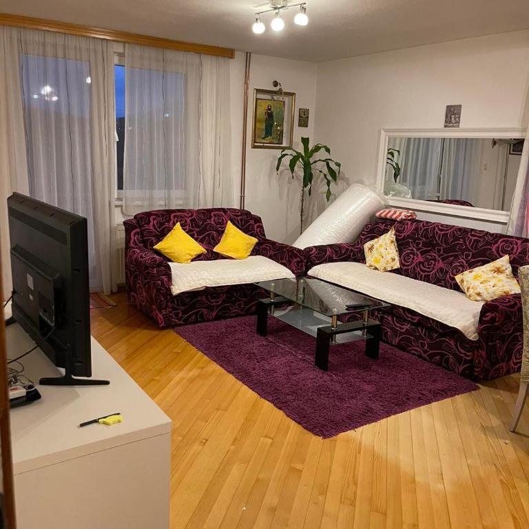 Stan na dan Masa - Two-Bedroom Apartment - 14
