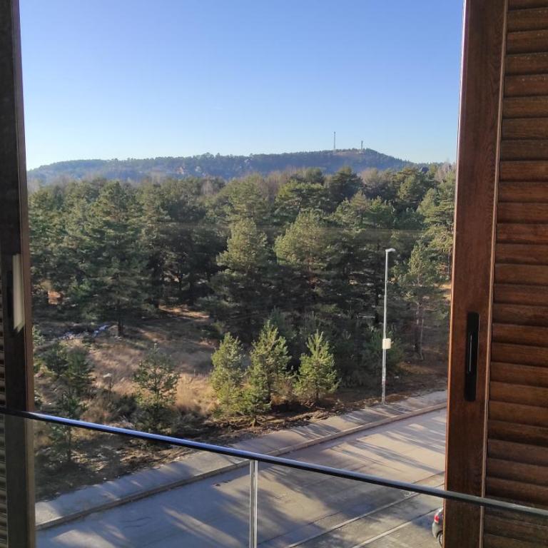 Dva Jelena - Apartman sa Terasom - 17