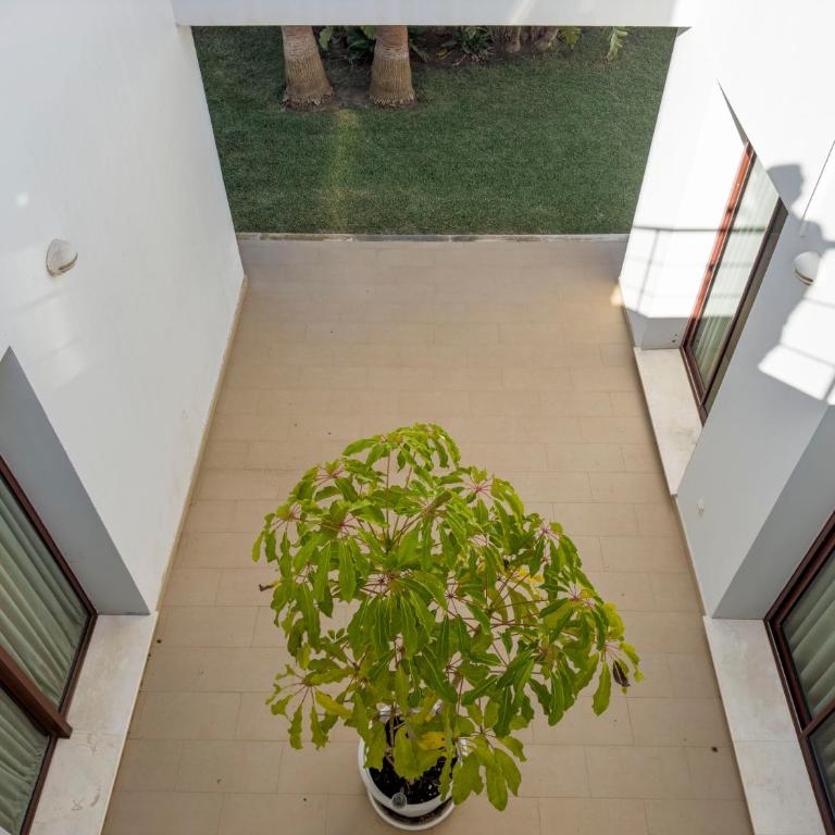 Villa Los Pinares de Monaco en Roche, Conil, Cádiz - Villa - 37
