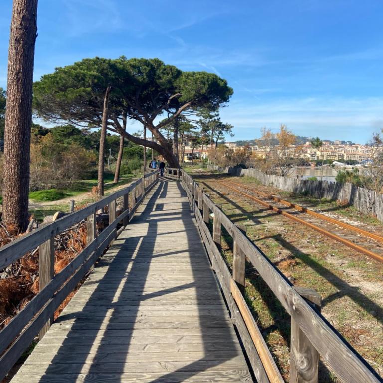DUPLEX CALVI DIRECT PLAGE - Appartement 1 Chambre - 38