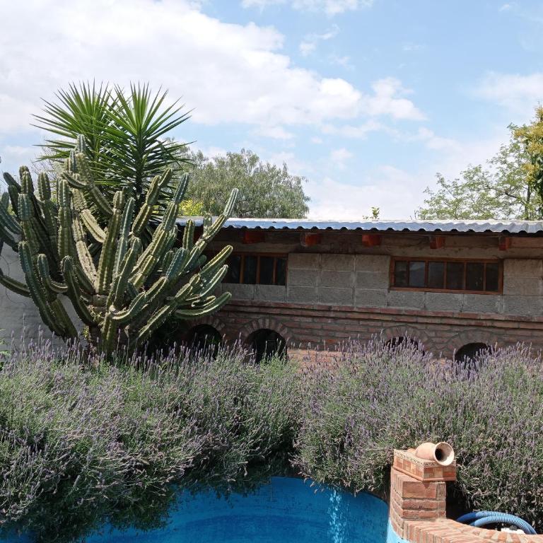 Hermosa casa con parque - Casa de 2 dormitorios - 4