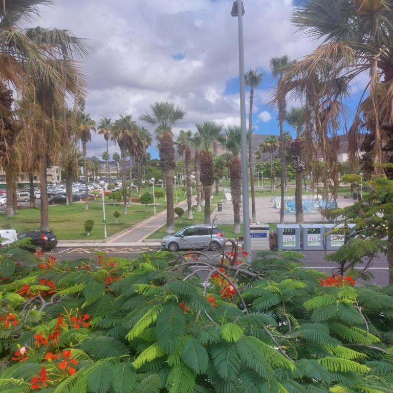 Apartamento Margarita con piscina en Playa Honda, Playa las Américas - Apartamento de 1 dormitorio - 66