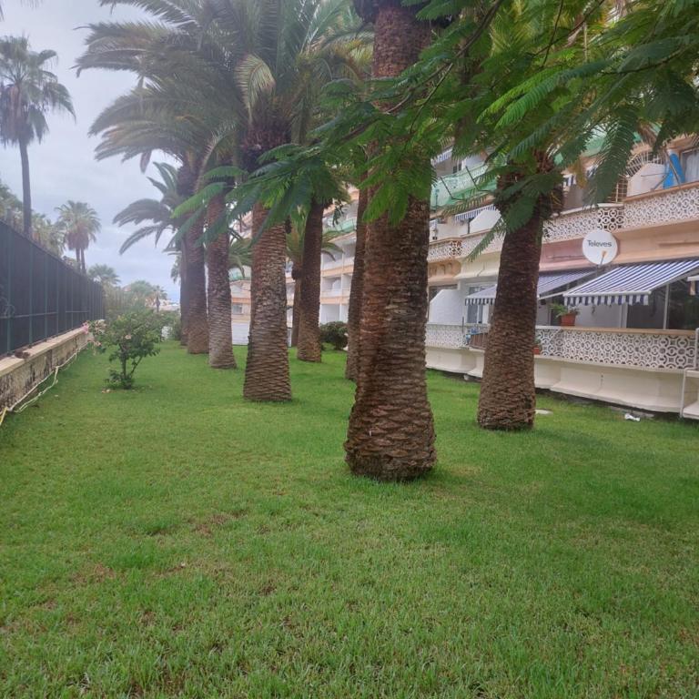 Apartamento Margarita con piscina en Playa Honda, Playa las Américas - Apartamento de 1 dormitorio - 67